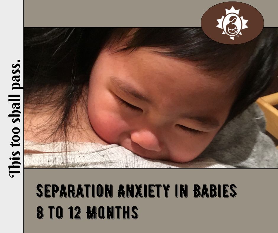 Separation Anxiety In Babies 8 To 12 Months La Leche League Canada 